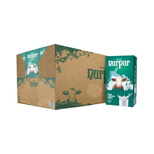 Nurpur Milk Carton